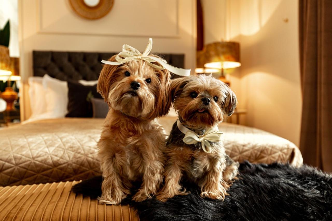 Appartamento Qult - The Aristocrat Bucarest